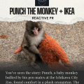 Punch the Monkey + Ikea